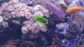 fish2 fish2