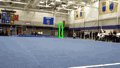 gymnastics2 gymnastics2