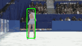 iceskater1 iceskater1