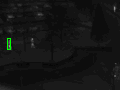 trees trees
